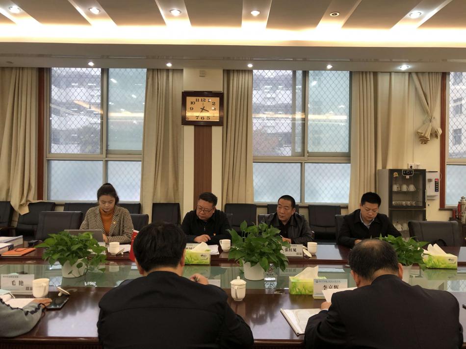 调研组领导讲话.jpg